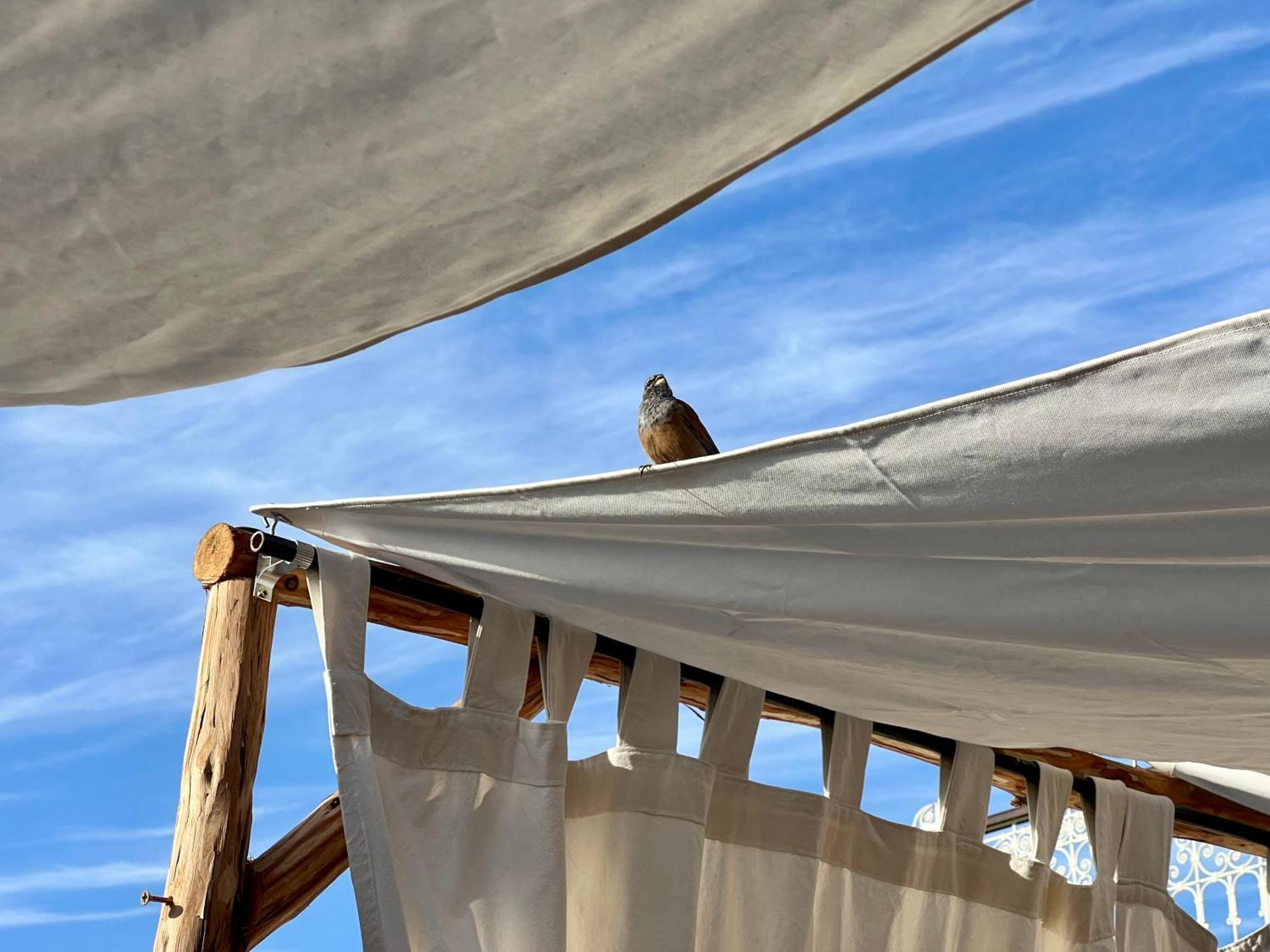 Bed and breakfast Tizwa Marrakech Marrakesh